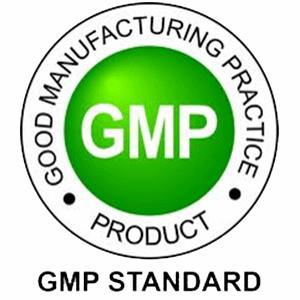 GMP Standard logo
